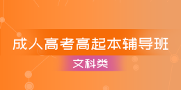 成考高起本辅导班（文科类）